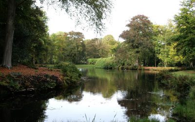 Lezing historie en beheer De Braak en Vennebroek